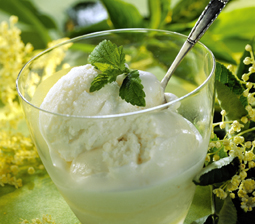 Hyldeblomstsorbet