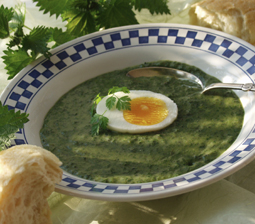 Brændenældesuppe med smilende æg