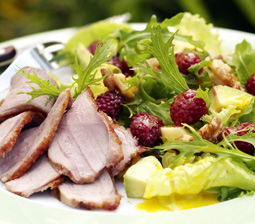 Berberiandebryst med superskøn salat